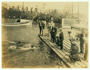 Jeux olympiques de 1904 - Arrivée de la compétition de natation de 220 yards - Unknown